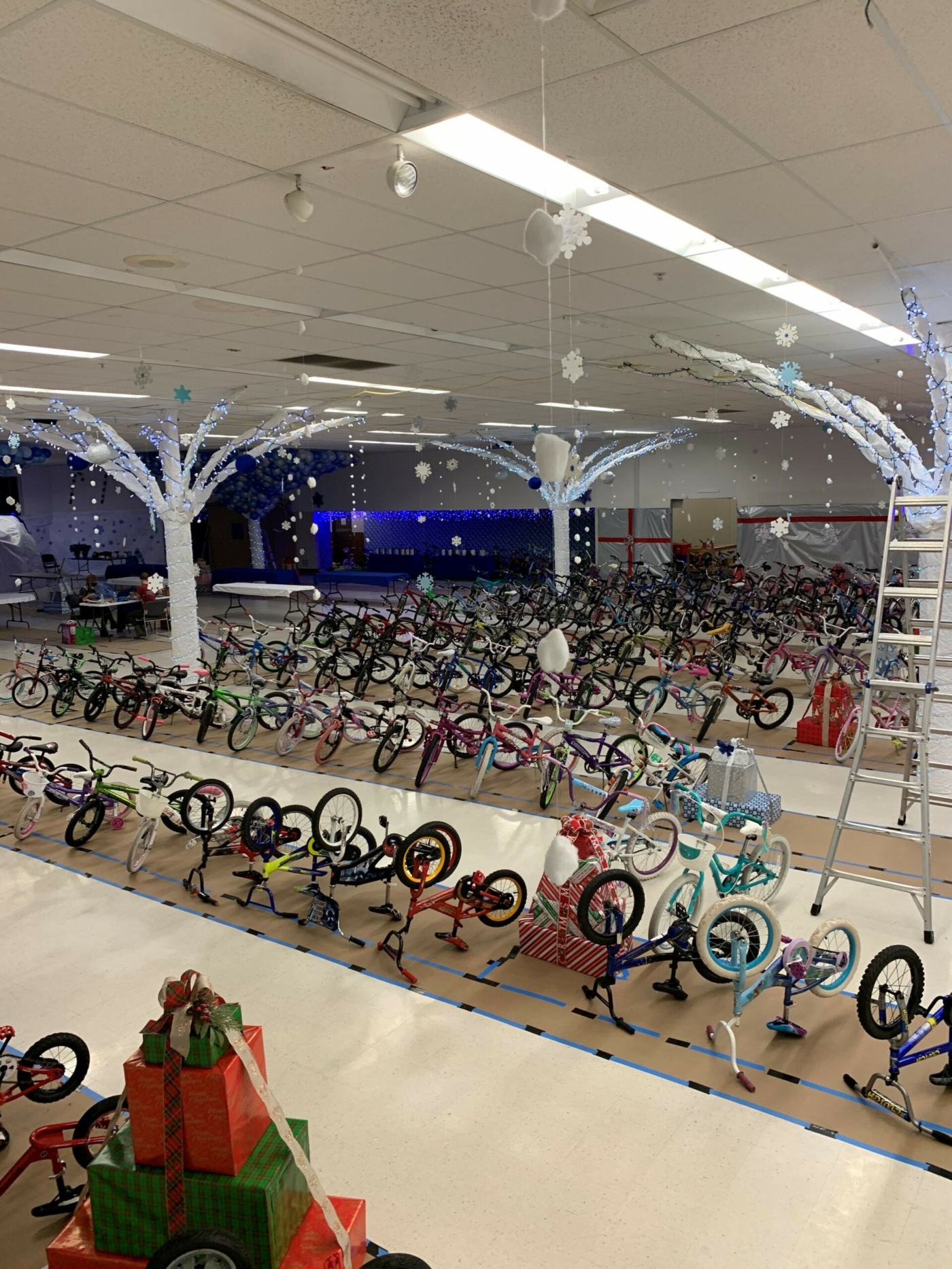 Bikes for kids at 2020 Jordan Smelski Sporting Goods Store - Amoeba Awareness