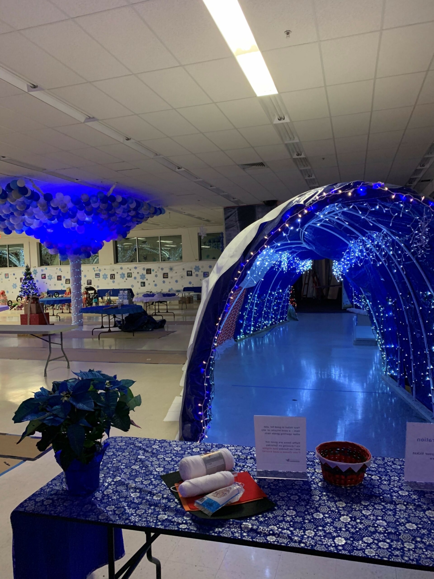 Kids entrance at 2020 Jordan Smelski Sporting Goods Store - Amoeba Awareness